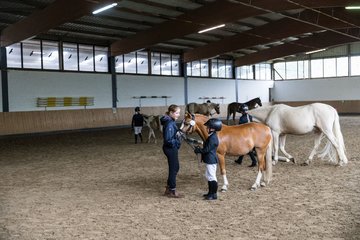 Bild 3 - Pony Akademie Turnier